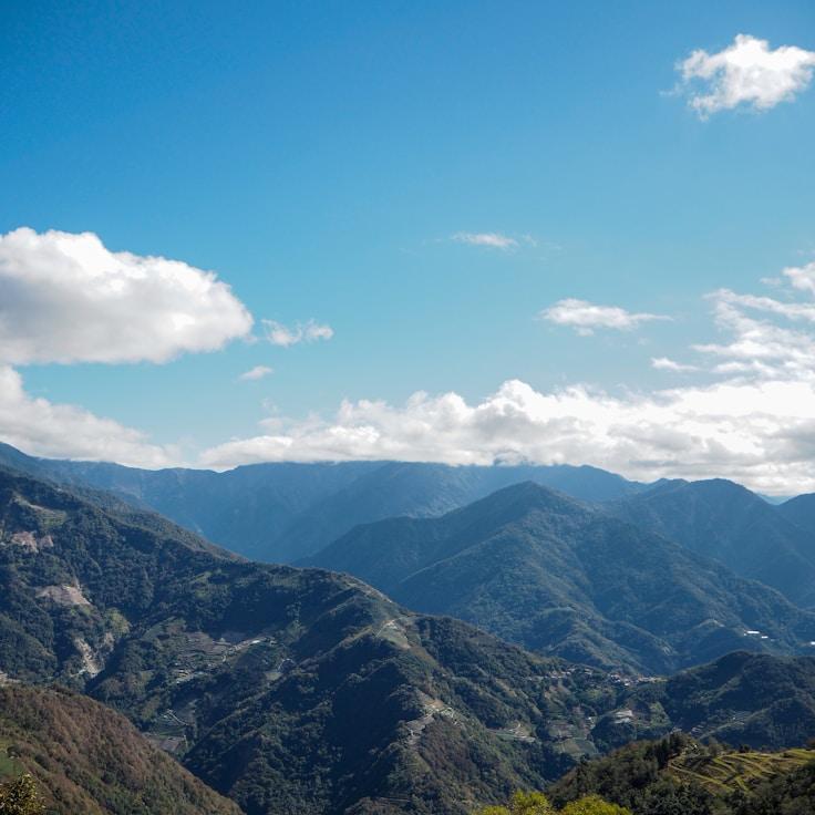 Family terraces and cafés for calm evenings in Springfield