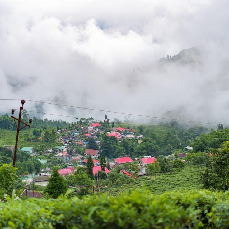 Outdoor terrace seating suitable for families in Springfield